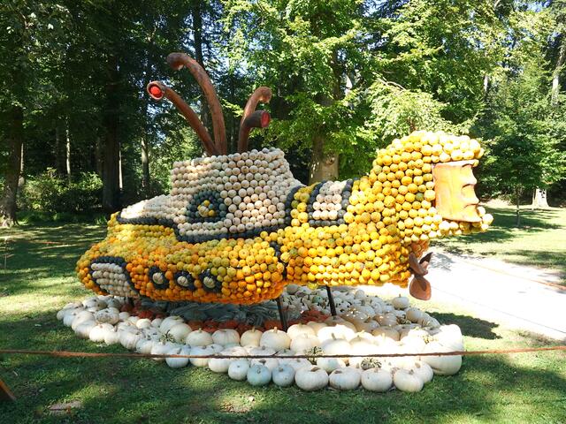U-Boote oder Unterseebote sind spezielle Schiffe, die für Fahrten unter Wasser gebaut sind. Aufgrund ihrer Kon-
struktion können sie im Wasser schweben, sinken oder steigen. Erreicht wird das durch spezielle Tauchzellen oder Tauchtanks, in denen sich als Ballast Wasser mit veränderbarer Menge befindet. 
Bathyskaphen sind spezielle U-Boote, die für Tiefseetauchgänge konstruiert wurden. Sie sind oft mit einer Druckkammer ausgestattet, um den enormen Druck in größeren Tiefen auszugleichen. Ein berühmtes Beispiel ist der Trieste-Bathyskaph, der 1960 den tiefsten Punkt des Ozeans, den Marianengraben, erreichte, der eine Tiefe von etwa 10.000 Metern hat.