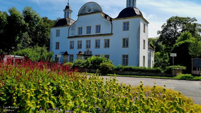 ...in die Jahre gekommen Schloß Borbeck
2024@ana´