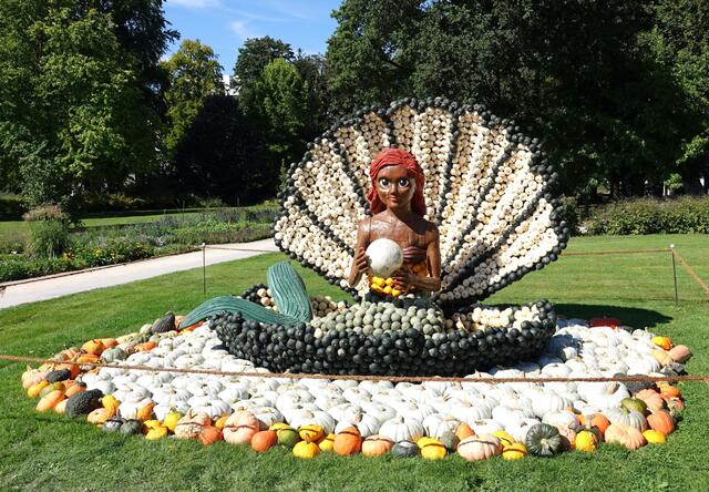 In vielen Geschichten sind Meerjungfrauen schöne, halb Mensch, halb fischähnliche Kreaturen, die im Meer leben.
Die Beschreibung der Meerjungfrau geht auf Eindrücke von Seefahrern zurück, die bei gutem Wetter schöne junge Frauen gesehen haben wollen, die sich auf Klippen sonnten. Die Beschreibung ist erklärbar durch Seekühe, die von den Seeleuten für Meerjungfrauen gehalten wurden.
