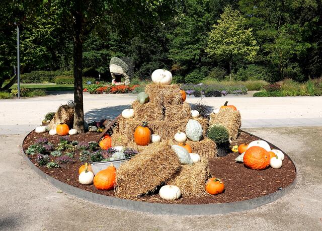 Kürbisbeete entlang des Hauptweges.