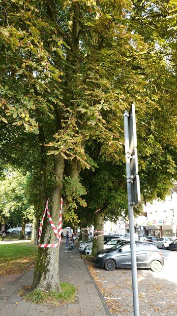 Foto: Foto: Christian Thieme 