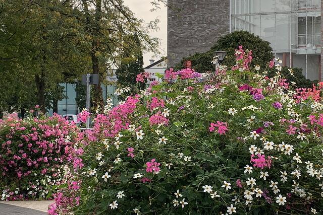 Bunt gemixt aus Besuchen des 3.  Quartals 2024  in der Innenstadt von Unna | Foto: © Jürgen Thoms 