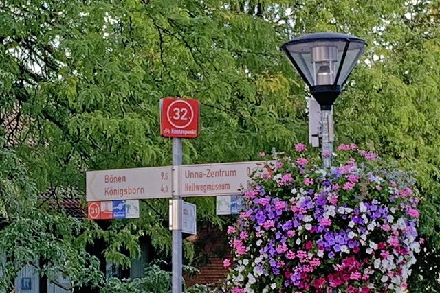 Bunt gemixt aus Besuchen des 3.  Quartals 2024  in der Innenstadt von Unna  | Foto: © Jürgen Thoms 