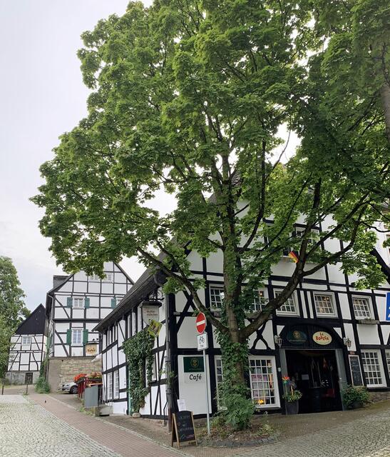 Bunt gemixt aus Besuchen des 3.  Quartals 2024  in der Innenstadt von Unna  | Foto: © Jürgen Thoms 