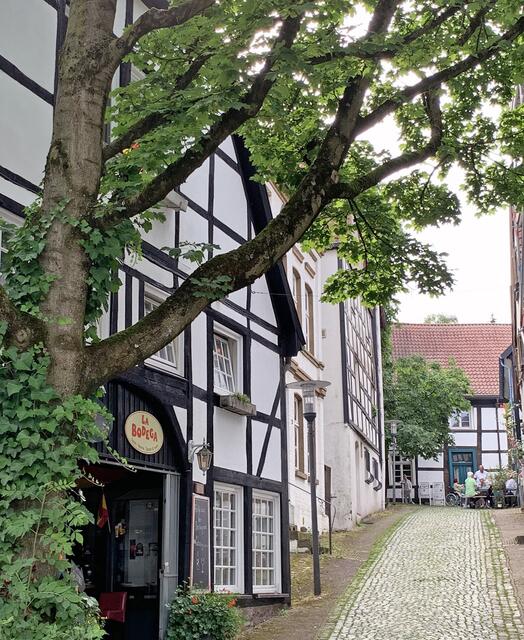 Bunt gemixt aus Besuchen des 3.  Quartals 2024  in der Innenstadt von Unna  | Foto: © Jürgen Thoms 