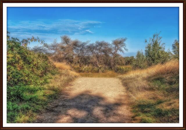 Zum Rundweg Het Eendenmeer, nach dem Brand in 2023 wieder zu passieren.