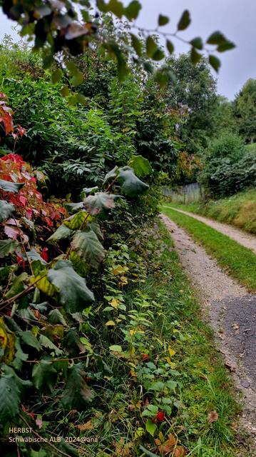 rot grün gelb grün ....und und und
2024