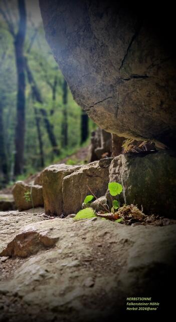 sunshine :-)
Oktobersonne an einem Höhleneingang
2024@ana´