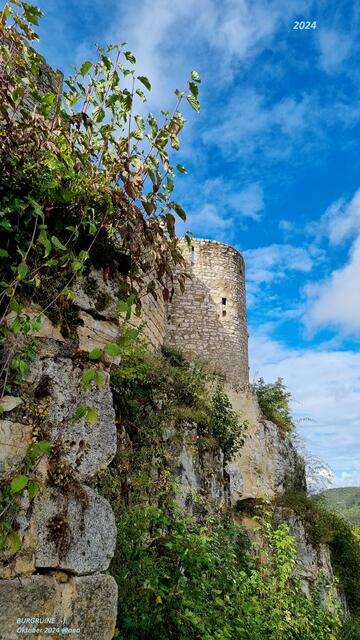 Burgruine im Herbst
2024 @ana´