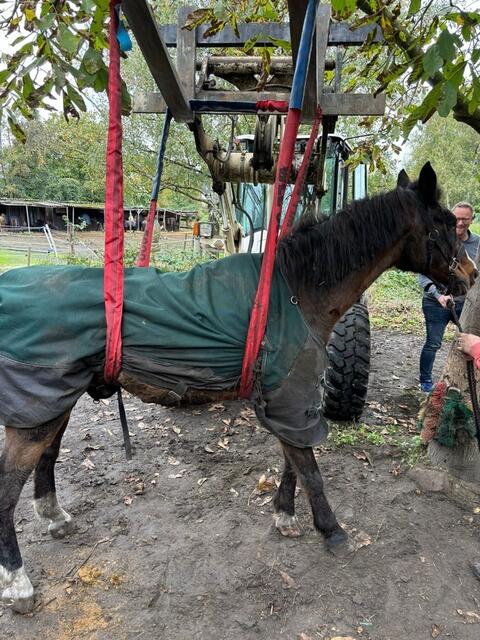 Foto: Foto: Feuerwehr Gelsenkirchen 