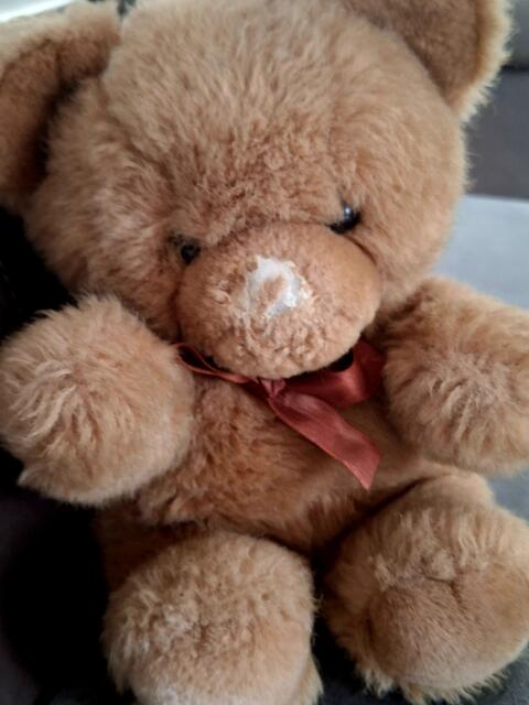 Brummelbär lebt noch immer bei uns.