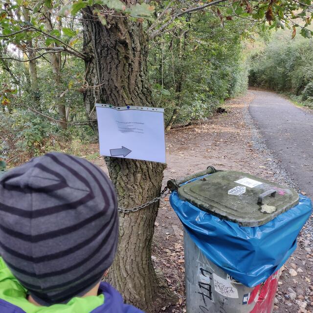 Foto: Freie Schwimmer Rheinkamp 