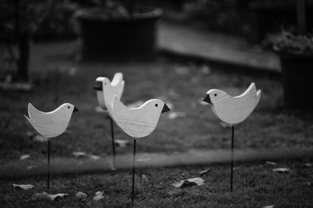 Die fliegen nicht in den Süden - schöne liebevoll gestaltete Vorgärten gibt es auch