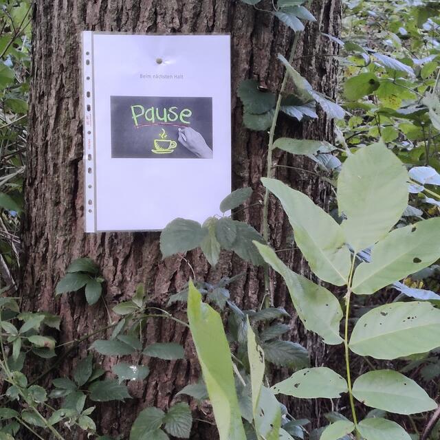 Foto: Freie Schwimmer Rheinkamp 