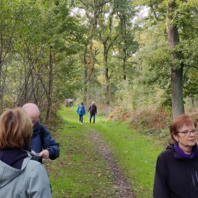 Foto: Freie Schwimmer Rheinkamp 