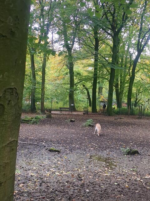 Tiergehege im Kaisergarten | Foto: Astrid Günther
