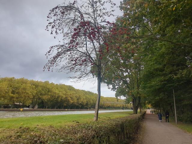 Am Kanal | Foto: Astrid Günther