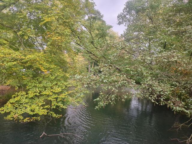 Kaisergarten Oberhausen | Foto: Astrid Günther