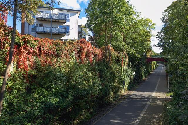 Verlauf der Trasse in einem Geländeeinschnitt