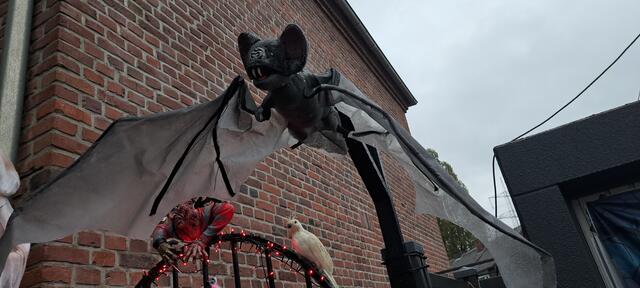 Eine große Fledermaus fliegt über dem Gelände. | Foto: Dabitsch