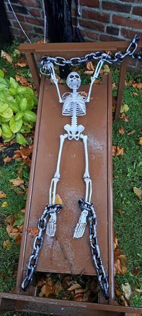 Skelett auf der Streckbank. | Foto: Dabitsch