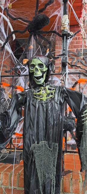 Skelette in allen Varianten gibt es in Duisburg-Wehofen zu sehen. | Foto: Dabitsch