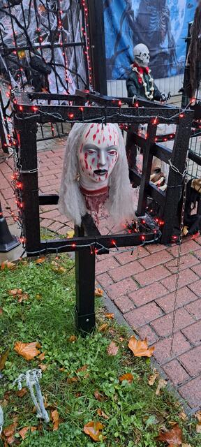 Aufgespießter Kopf im Käfig. | Foto: Dabitsch