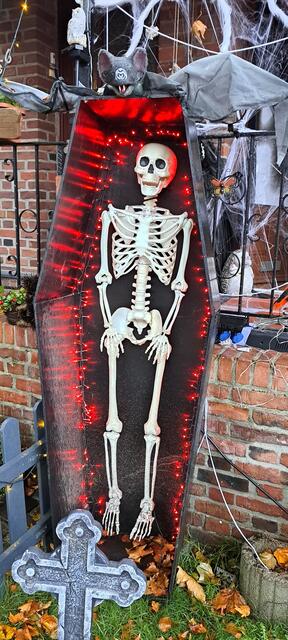 Der Sarg ist sogar beleuchtet. | Foto: Dabitsch