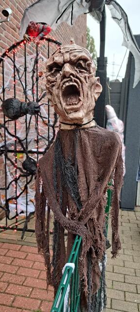 Schrei, wenn du kannst! | Foto: Dabitsch