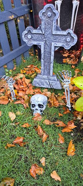 Das Skelett kommt aus seinem Grab. | Foto: Dabitsch