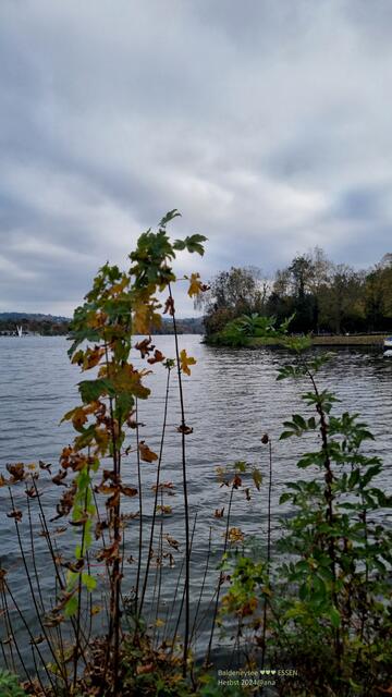 am Haus Scheppen :-)