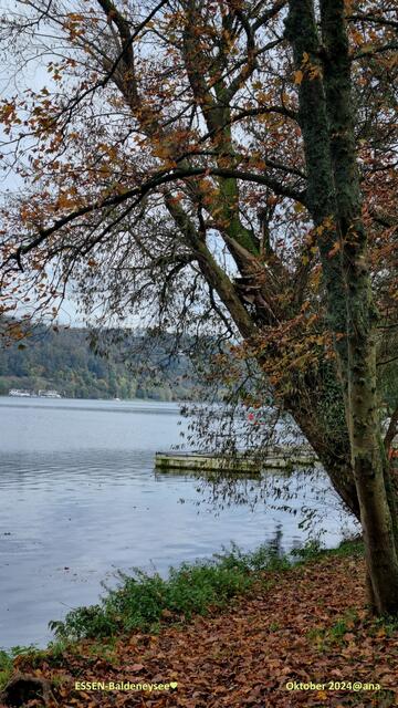 immer wieder schön hier