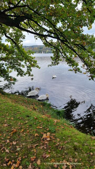 Vogelwelt und Vieles mehr ♥