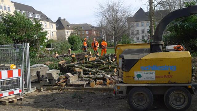 Die städttische Reaktion