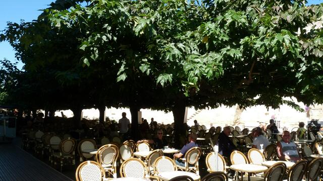 Gastgarten in Südfrankreich