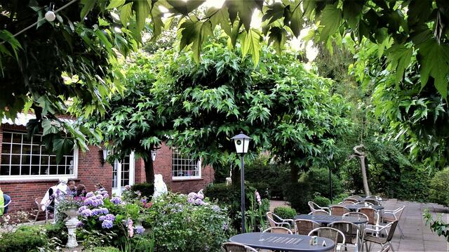 Gastgarten mit Maulbeerbäumen in Greven 