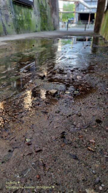 upppssss, im sonnigen Spätsommer ... auch mal´Pfützen´ umgehen :-))))

Duisburg 2024@ana´