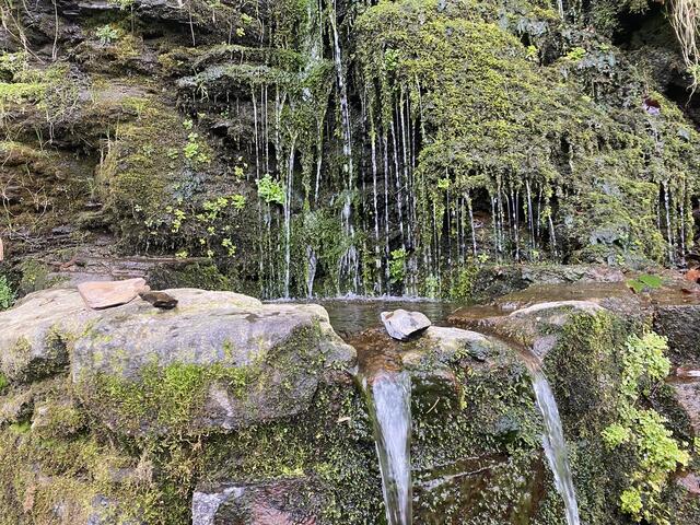 Wasserfall bei Kettwig. Hier wird gerne Wasser abgefüllt. | Foto: umbehaue