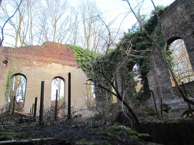 oefte Zechen Ruine im Wald | Foto: umbehaue