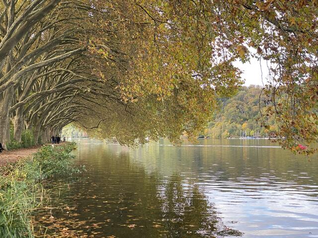 Tunnel of Love an Haus Scheppen | Foto: umbehaue