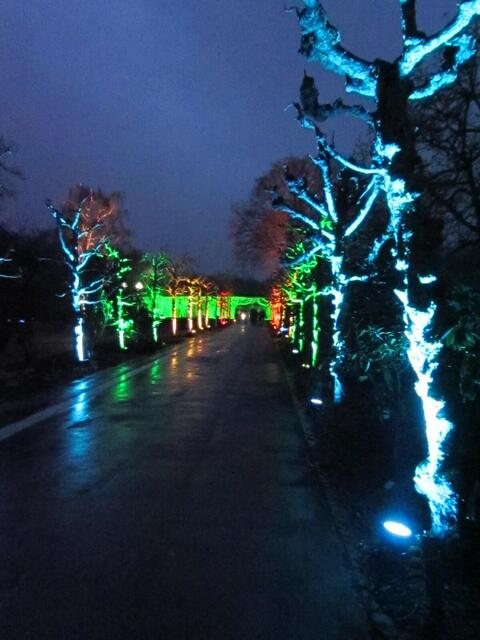 Essen leuchtet | Foto: umbehaue