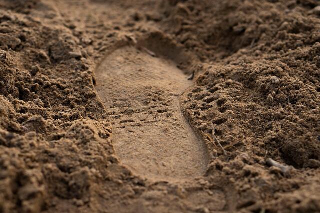 Symbolbild  | Foto: Foto: Pixabay Content License un-perfekt