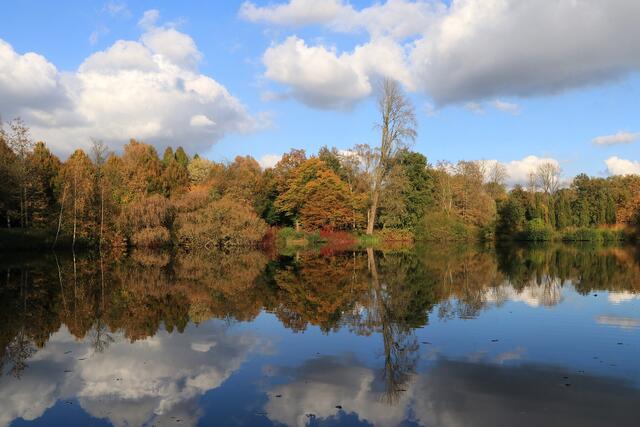 Wittringer Wald  Brillenteich | Foto: Eckhard Schlaup