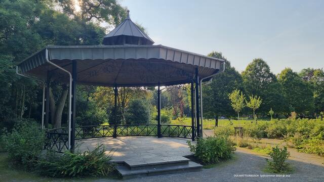 spätnachmittägliche Sonne´