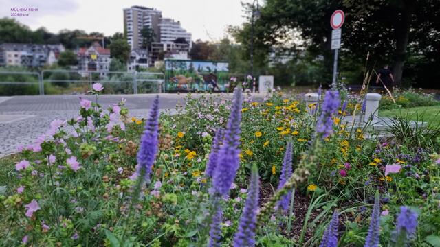 ...schön bepflanzt ...