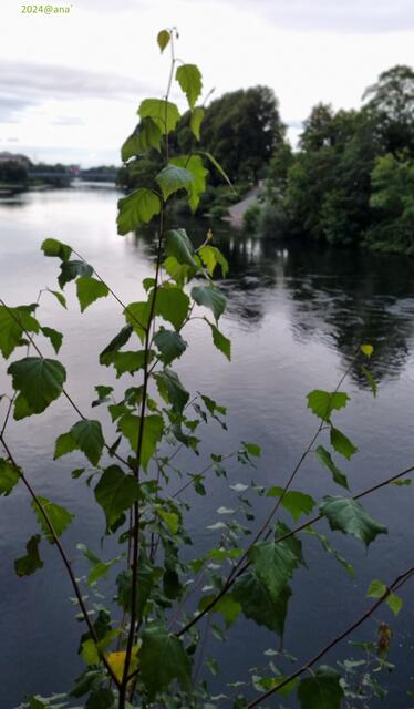 ruhige Fahrwasser...