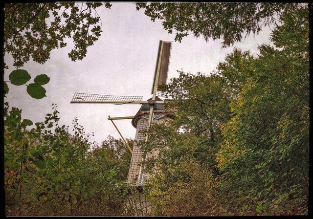 Mühle Anno 1696, dreht sich aber immer noch!