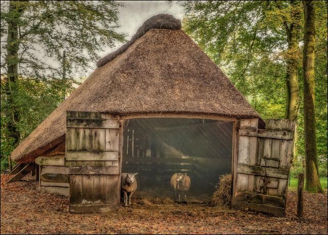 Viehstall XXL. 
Danke für's Reinschauen!