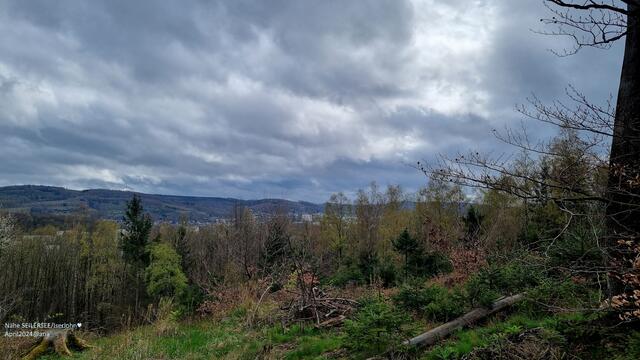 oberhalb vom SEE....