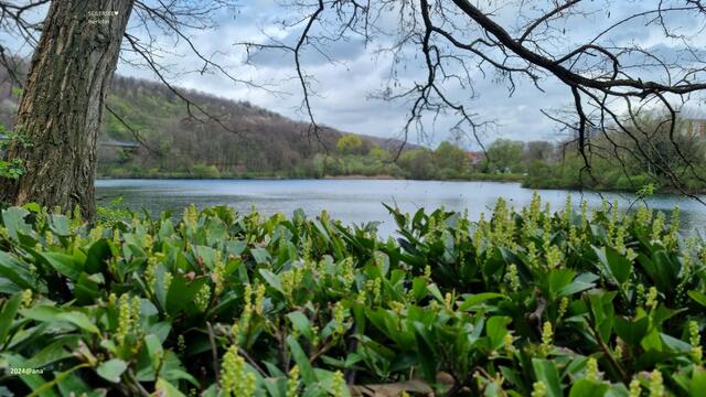 G R Ü N  am Seilersee